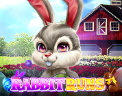 Rabbit Runs
